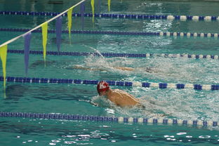 九游娱乐平台-“新加坡泳池见证泳坛巨星！2025世界游泳锦标赛激烈开赛”  第3张